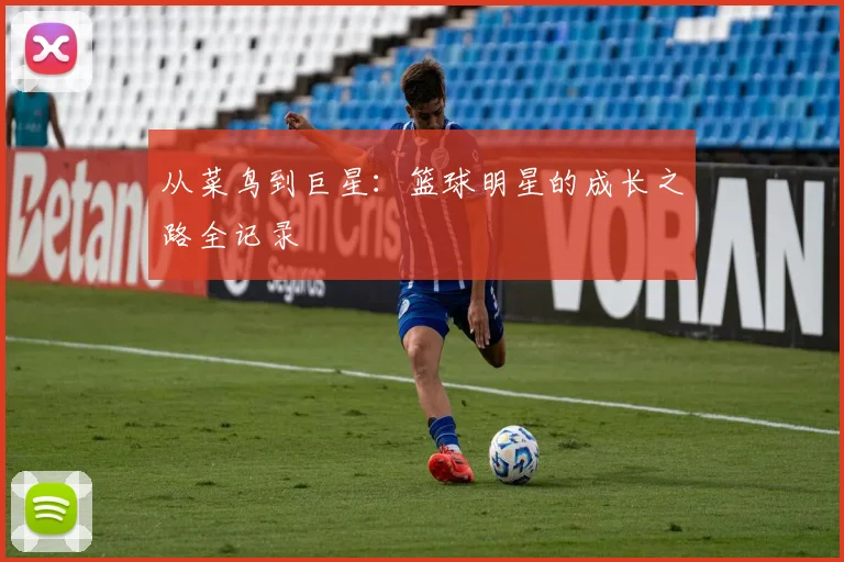 从菜鸟到巨星：篮球明星的成长之路全记录